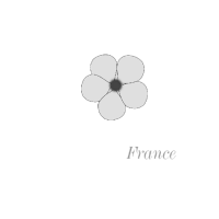 MCI-France_Logo